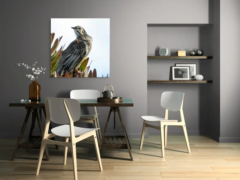 Tablou Canvas, "Pasărea mândră pe ramură verde", Pasăre, Frunze, Penaj, Cer, Natură, 100 x 100 cm – poza 6