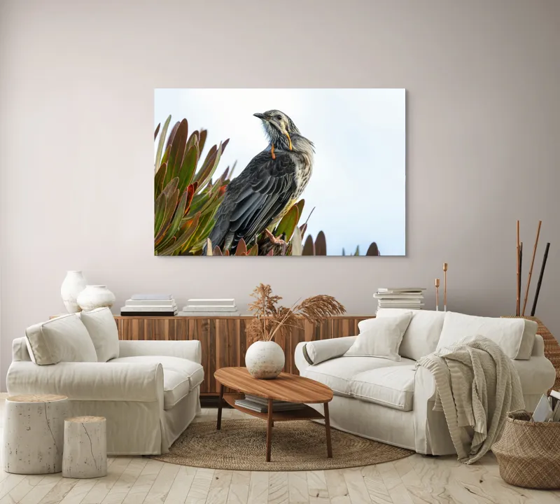 Tablou Canvas, "Pasărea mândră pe ramură verde", Pasăre, Frunze, Penaj, Cer, Natură, 150 x 100 cm – poza 3