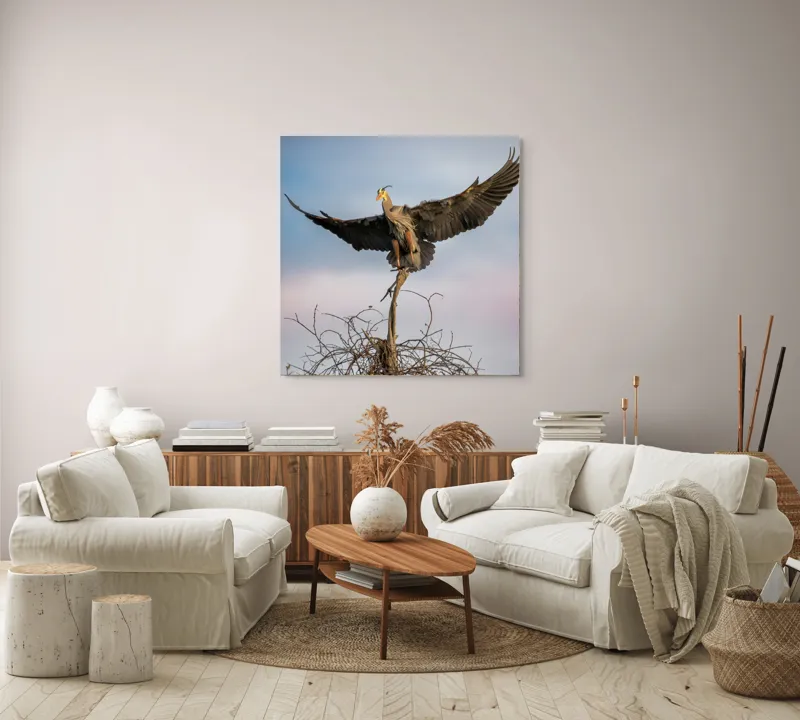 Tablou Canvas, "Zborul majestuos al egretei albastre", Pasăre, Aripi, Cer, Cuib, Răsărit, Eleganță, Zbor, Natură., 100 x 100 cm – poza 3