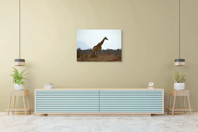 Tablou Canvas, "Gingașul rege al savanei africane", Girafă, Savana, Cer, Arbori, Pământ, Sălbăticie, Picioare, Eleganță, Gât, Peisaj, 100 x 70 cm – poza 4