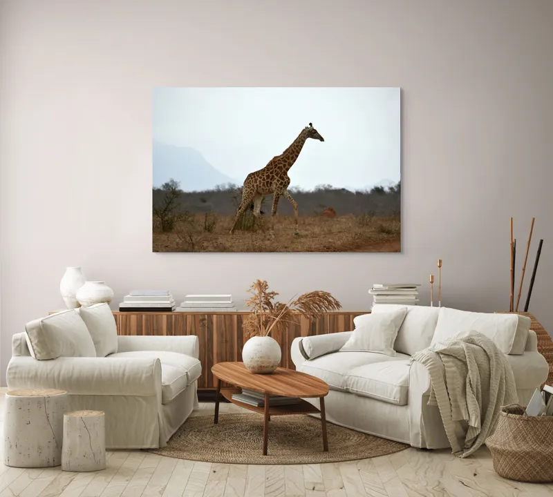 Tablou Canvas, "Gingașul rege al savanei africane", Girafă, Savana, Cer, Arbori, Pământ, Sălbăticie, Picioare, Eleganță, Gât, Peisaj, 150 x 100 cm – poza 3