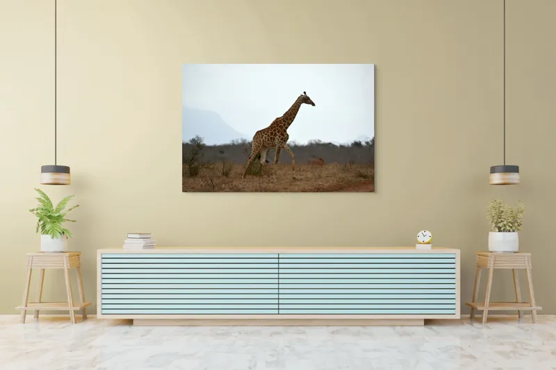Tablou Canvas, "Gingașul rege al savanei africane", Girafă, Savana, Cer, Arbori, Pământ, Sălbăticie, Picioare, Eleganță, Gât, Peisaj, 150 x 100 cm – poza 6