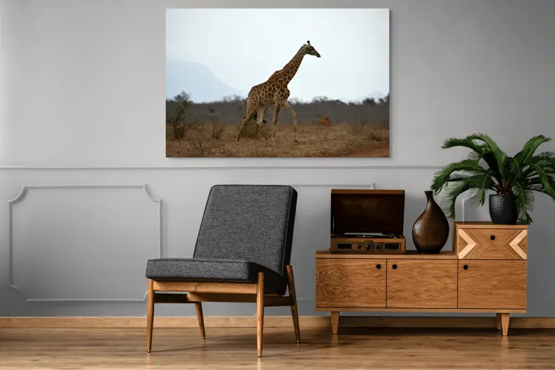 Tablou Canvas, "Gingașul rege al savanei africane", Girafă, Savana, Cer, Arbori, Pământ, Sălbăticie, Picioare, Eleganță, Gât, Peisaj, 150 x 100 cm – poza 8