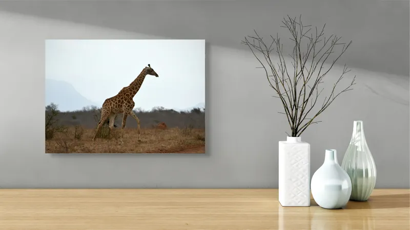Tablou Canvas, "Gingașul rege al savanei africane", Girafă, Savana, Cer, Arbori, Pământ, Sălbăticie, Picioare, Eleganță, Gât, Peisaj, 54 x 39 cm – poza 3