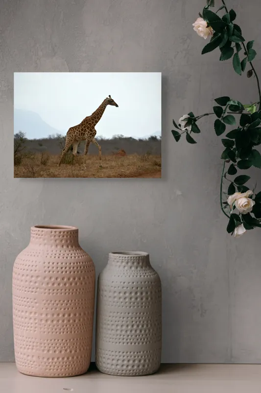 Tablou Canvas, "Gingașul rege al savanei africane", Girafă, Savana, Cer, Arbori, Pământ, Sălbăticie, Picioare, Eleganță, Gât, Peisaj, 54 x 39 cm – poza 8