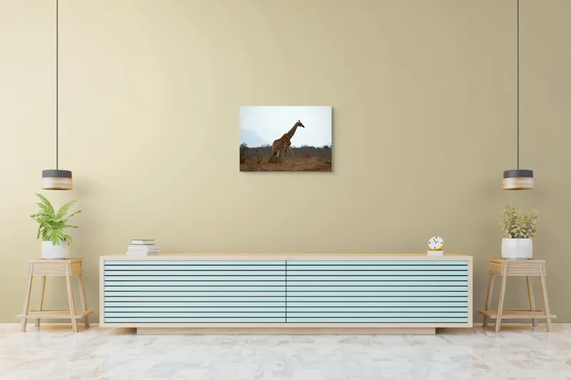 Tablou Canvas, "Gingașul rege al savanei africane", Girafă, Savana, Cer, Arbori, Pământ, Sălbăticie, Picioare, Eleganță, Gât, Peisaj, 70 x 50 cm – poza 7