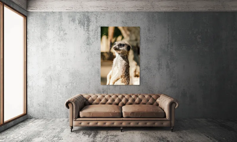 Tablou Canvas, "Secretul veghii suricatei curioase", Meerkat, Curios, Alert, Furry, Watchful, Sunlit, 100 x 150 cm – poza 6