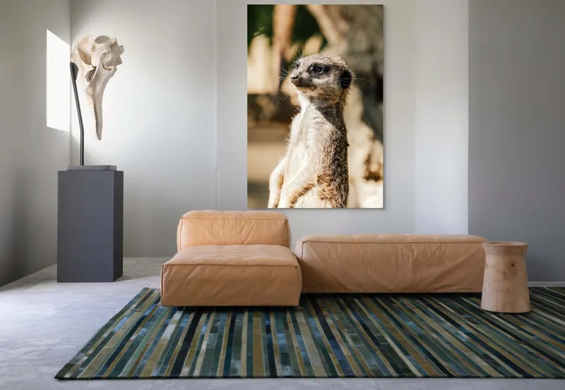 Tablou Canvas, "Secretul veghii suricatei curioase", Meerkat, Curios, Alert, Furry, Watchful, Sunlit, 100 x 150 cm – poza 7
