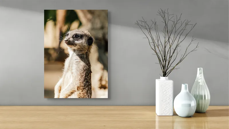 Tablou Canvas, "Secretul veghii suricatei curioase", Meerkat, Curios, Alert, Furry, Watchful, Sunlit, 39 x 54 cm – poza 4