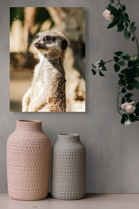 Tablou Canvas, "Secretul veghii suricatei curioase", Meerkat, Curios, Alert, Furry, Watchful, Sunlit, 39 x 54 cm – poza 6