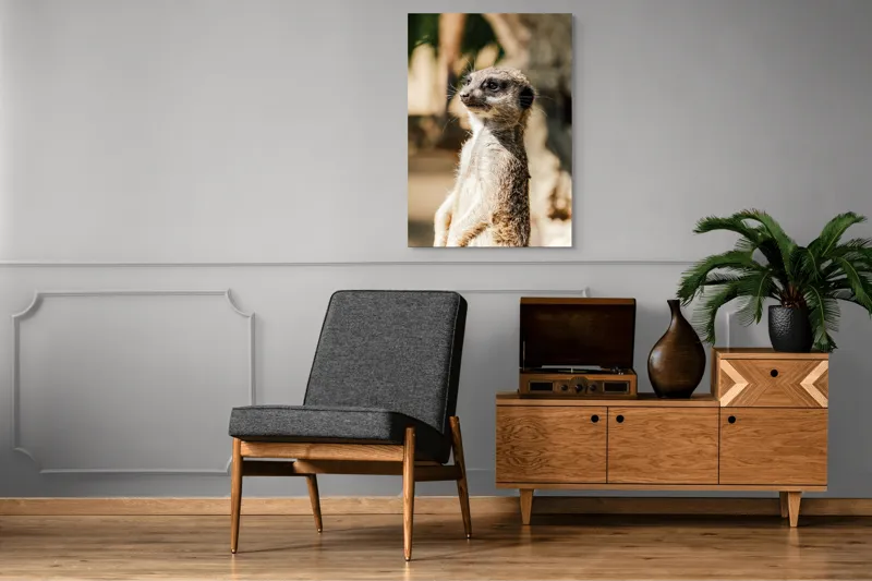Tablou Canvas, "Secretul veghii suricatei curioase", Meerkat, Curios, Alert, Furry, Watchful, Sunlit, 70 x 100 cm – poza 6