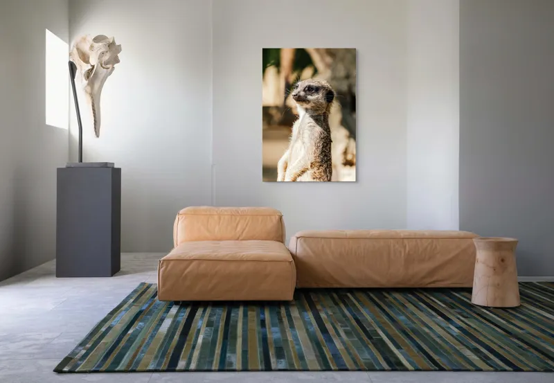 Tablou Canvas, "Secretul veghii suricatei curioase", Meerkat, Curios, Alert, Furry, Watchful, Sunlit, 70 x 100 cm – poza 7