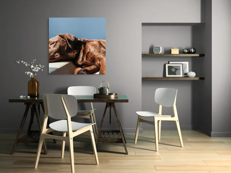 Tablou Canvas, "Somnul liniștit al câinelui maro", Somn, Câine, Blană, Liniște, Relaxare, Lumină, Caldura, 100 x 100 cm – poza 6