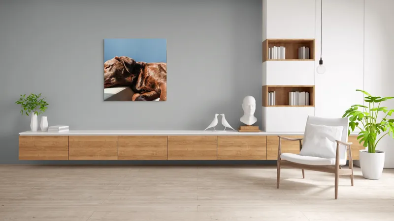 Tablou Canvas, "Somnul liniștit al câinelui maro", Somn, Câine, Blană, Liniște, Relaxare, Lumină, Caldura, 100 x 100 cm – poza 8