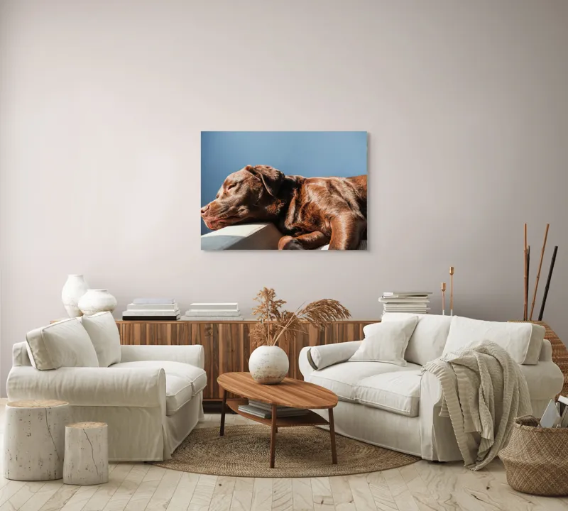 Tablou Canvas, "Somnul liniștit al câinelui maro", Somn, Câine, Blană, Liniște, Relaxare, Lumină, Caldura, 100 x 70 cm – poza 3