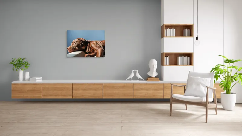 Tablou Canvas, "Somnul liniștit al câinelui maro", Somn, Câine, Blană, Liniște, Relaxare, Lumină, Caldura, 100 x 70 cm – poza 6