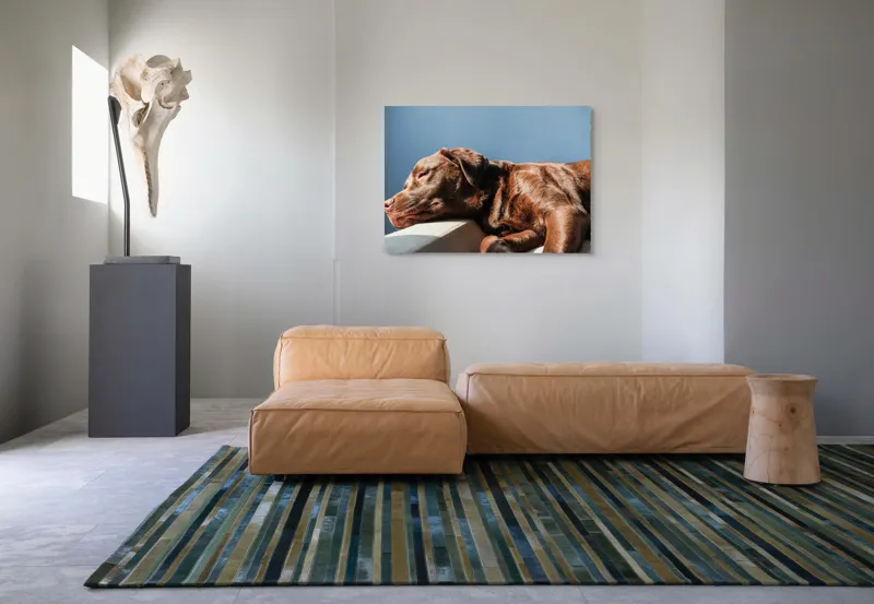 Tablou Canvas, "Somnul liniștit al câinelui maro", Somn, Câine, Blană, Liniște, Relaxare, Lumină, Caldura, 100 x 70 cm – poza 7