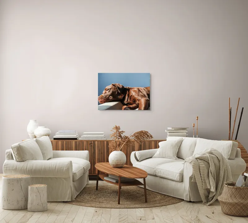 Tablou Canvas, "Somnul liniștit al câinelui maro", Somn, Câine, Blană, Liniște, Relaxare, Lumină, Caldura, 70 x 50 cm – poza 6