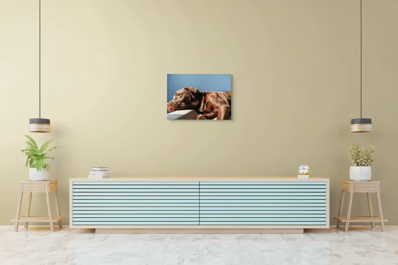 Tablou Canvas, "Somnul liniștit al câinelui maro", Somn, Câine, Blană, Liniște, Relaxare, Lumină, Caldura, 70 x 50 cm – poza 7