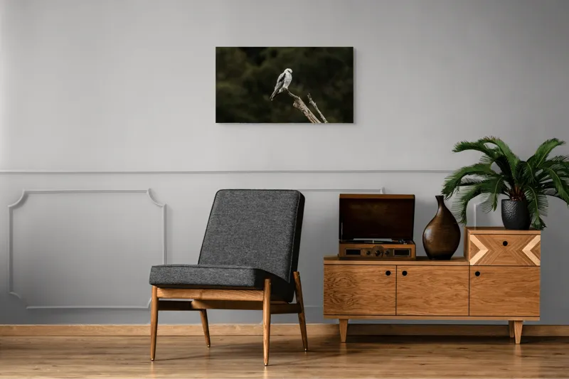 Tablou Canvas, "Șoimul solitar pe creanga uscată", Pasăre, Ramură, Cer, Perioada Zilei, Privire, Penaj, Natură, 90 x 50 cm – poza 6
