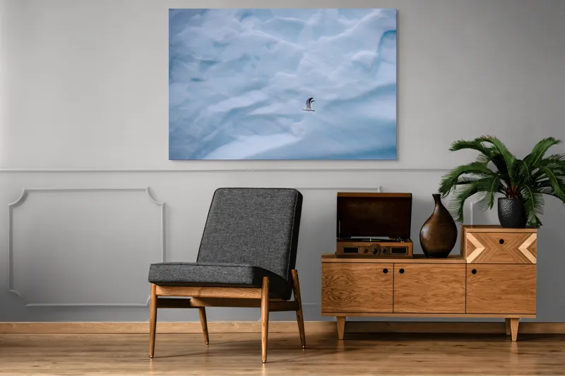 Tablou Canvas, "Zbor lin printre ghețurile albastre", Pasăre, Gheață, Albastru, Zbor, Frig, Cer, Arctic, Singurătate, Natură, Frumusețe, 150 x 100 cm – poza 8