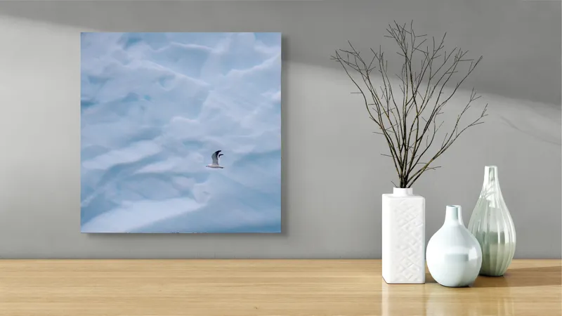 Tablou Canvas, "Zbor lin printre ghețurile albastre", Pasăre, Gheață, Albastru, Zbor, Frig, Cer, Arctic, Singurătate, Natură, Frumusețe, 50 x 50 cm – poza 3