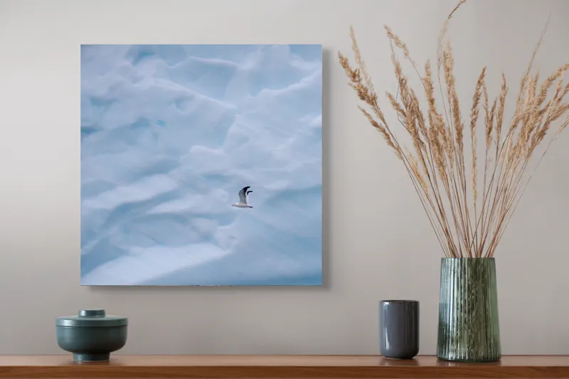 Tablou Canvas, "Zbor lin printre ghețurile albastre", Pasăre, Gheață, Albastru, Zbor, Frig, Cer, Arctic, Singurătate, Natură, Frumusețe, 50 x 50 cm – poza 4