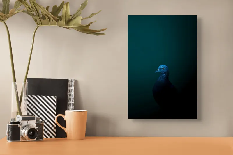 Tablou Canvas, "Porumbel în întunericul misterios al nopții", Porumbel, Mister, Eleganță, Umbră, Contrast, Noapte, Izolare, Calm, Albastru, Obscuritate, 26 x 39 cm – poza 3