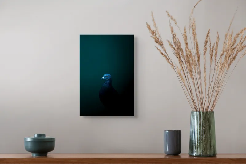 Tablou Canvas, "Porumbel în întunericul misterios al nopții", Porumbel, Mister, Eleganță, Umbră, Contrast, Noapte, Izolare, Calm, Albastru, Obscuritate, 26 x 39 cm – poza 5