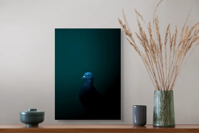 Tablou Canvas, "Porumbel în întunericul misterios al nopții", Porumbel, Mister, Eleganță, Umbră, Contrast, Noapte, Izolare, Calm, Albastru, Obscuritate, 39 x 54 cm – poza 3