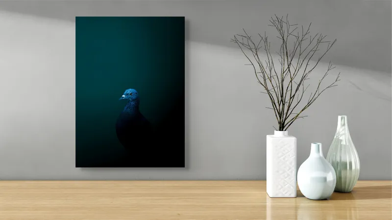Tablou Canvas, "Porumbel în întunericul misterios al nopții", Porumbel, Mister, Eleganță, Umbră, Contrast, Noapte, Izolare, Calm, Albastru, Obscuritate, 39 x 54 cm – poza 4