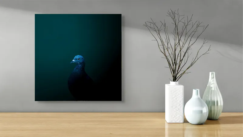 Tablou Canvas, "Porumbel în întunericul misterios al nopții", Porumbel, Mister, Eleganță, Umbră, Contrast, Noapte, Izolare, Calm, Albastru, Obscuritate, 50 x 50 cm – poza 3