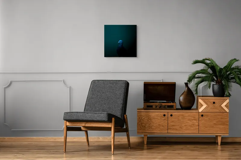 Tablou Canvas, "Porumbel în întunericul misterios al nopții", Porumbel, Mister, Eleganță, Umbră, Contrast, Noapte, Izolare, Calm, Albastru, Obscuritate, 50 x 50 cm – poza 6