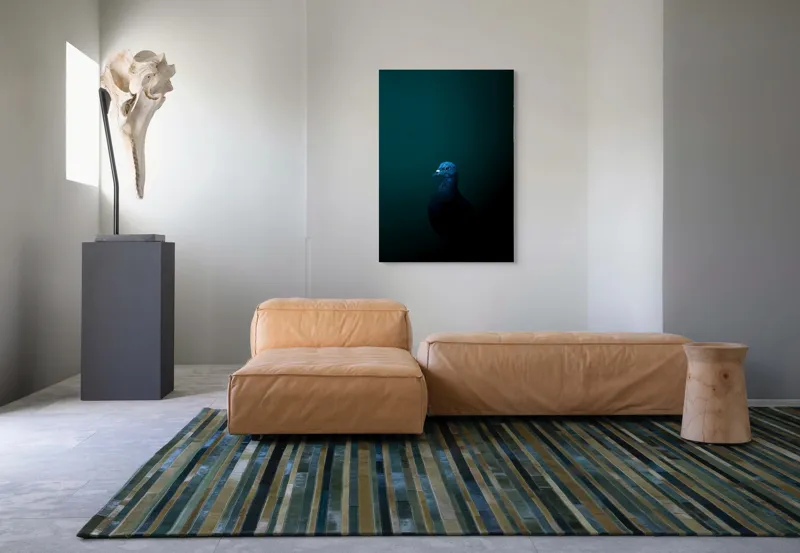 Tablou Canvas, "Porumbel în întunericul misterios al nopții", Porumbel, Mister, Eleganță, Umbră, Contrast, Noapte, Izolare, Calm, Albastru, Obscuritate, 70 x 100 cm – poza 7