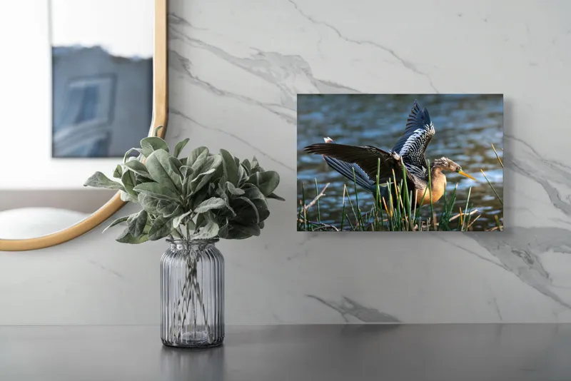 Tablou Canvas, "Pasărea elegantă pe marginea apei", Pasăre, Apă, Aripi, Stuf, Nuanțe, Natură, Lumină, Răsfirare, Grație, Pene, 39 x 26 cm – poza 5