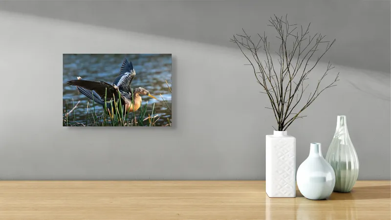 Tablou Canvas, "Pasărea elegantă pe marginea apei", Pasăre, Apă, Aripi, Stuf, Nuanțe, Natură, Lumină, Răsfirare, Grație, Pene, 39 x 26 cm – poza 8