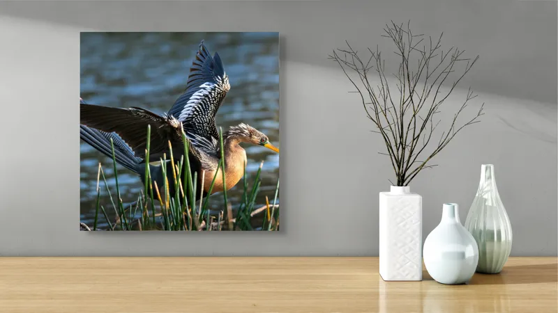 Tablou Canvas, "Pasărea elegantă pe marginea apei", Pasăre, Apă, Aripi, Stuf, Nuanțe, Natură, Lumină, Răsfirare, Grație, Pene, 50 x 50 cm – poza 3
