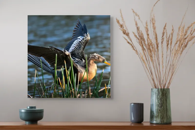 Tablou Canvas, "Pasărea elegantă pe marginea apei", Pasăre, Apă, Aripi, Stuf, Nuanțe, Natură, Lumină, Răsfirare, Grație, Pene, 50 x 50 cm – poza 4