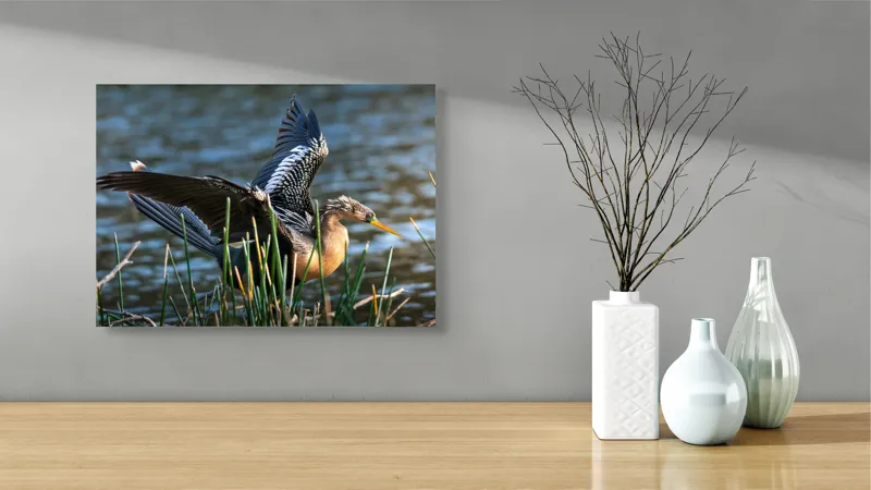 Tablou Canvas, "Pasărea elegantă pe marginea apei", Pasăre, Apă, Aripi, Stuf, Nuanțe, Natură, Lumină, Răsfirare, Grație, Pene, 54 x 39 cm – poza 3