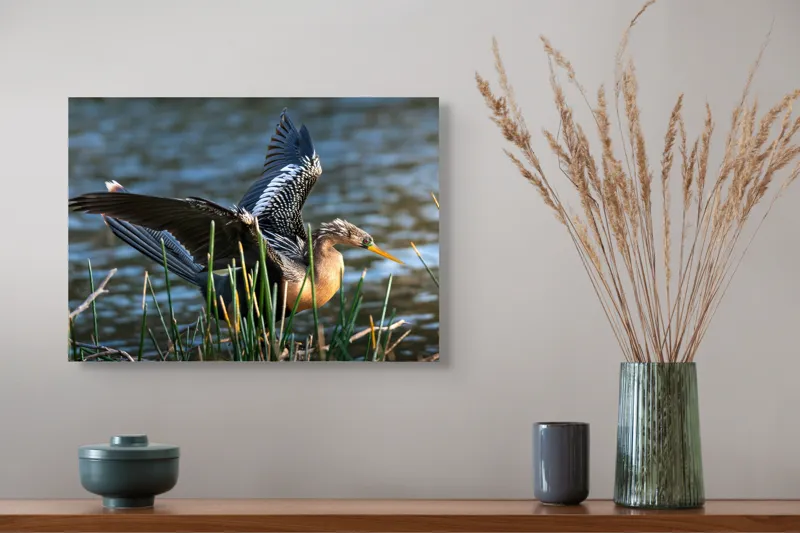 Tablou Canvas, "Pasărea elegantă pe marginea apei", Pasăre, Apă, Aripi, Stuf, Nuanțe, Natură, Lumină, Răsfirare, Grație, Pene, 54 x 39 cm – poza 4
