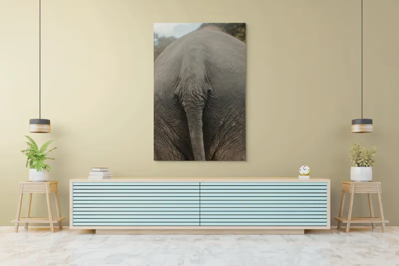 Tablou Canvas, "Coada elefantului în natură verde", I'm not sure what this image shows., 100 x 150 cm – poza 4