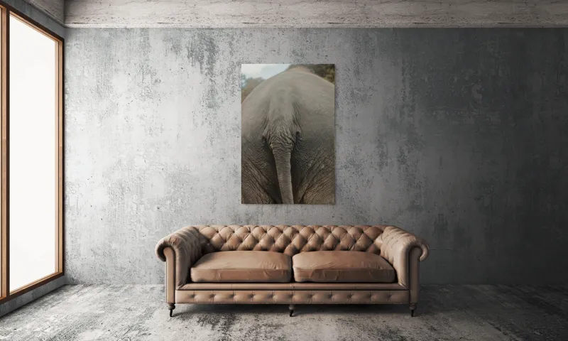 Tablou Canvas, "Coada elefantului în natură verde", I'm not sure what this image shows., 100 x 150 cm – poza 6