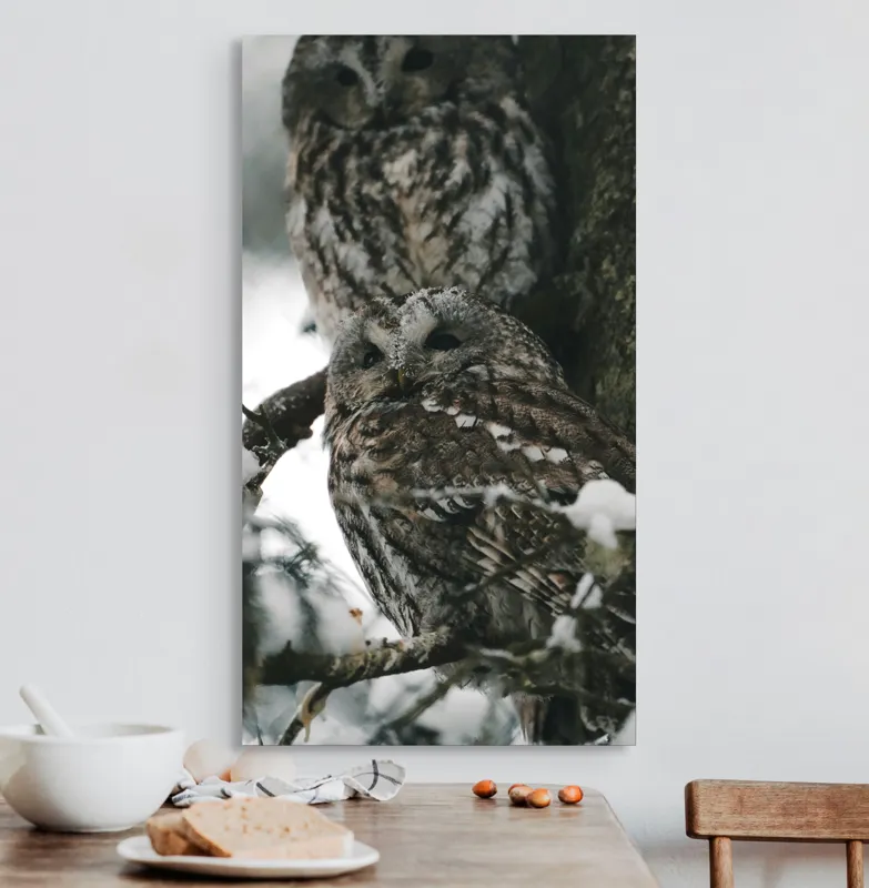 Tablou Canvas, "Bufnițe odihnindu-se în zăpadă iernatică", Bufnițe, Zăpadă, Copac, Crengi, Iarnă, Pene, Camuflaj, Natură, Privire, Pădure, 50 x 90 cm – poza 3