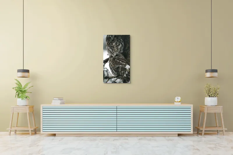 Tablou Canvas, "Bufnițe odihnindu-se în zăpadă iernatică", Bufnițe, Zăpadă, Copac, Crengi, Iarnă, Pene, Camuflaj, Natură, Privire, Pădure, 50 x 90 cm – poza 6