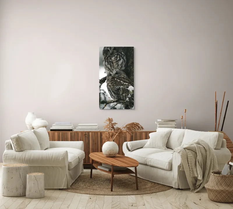 Tablou Canvas, "Bufnițe odihnindu-se în zăpadă iernatică", Bufnițe, Zăpadă, Copac, Crengi, Iarnă, Pene, Camuflaj, Natură, Privire, Pădure, 50 x 90 cm – poza 7