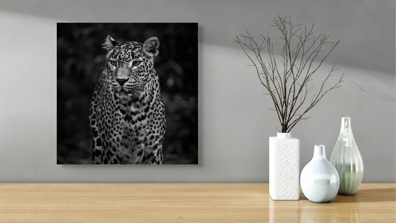 Tablou Canvas, "Leopardul din umbra tainica", Leopard, Grație, Forță, Eleganță, Mister, Pădure, Noapte, Prădător, Tăcere, Feline, 50 x 50 cm – poza 3