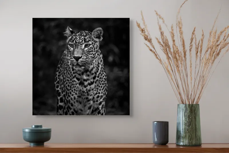 Tablou Canvas, "Leopardul din umbra tainica", Leopard, Grație, Forță, Eleganță, Mister, Pădure, Noapte, Prădător, Tăcere, Feline, 50 x 50 cm – poza 4