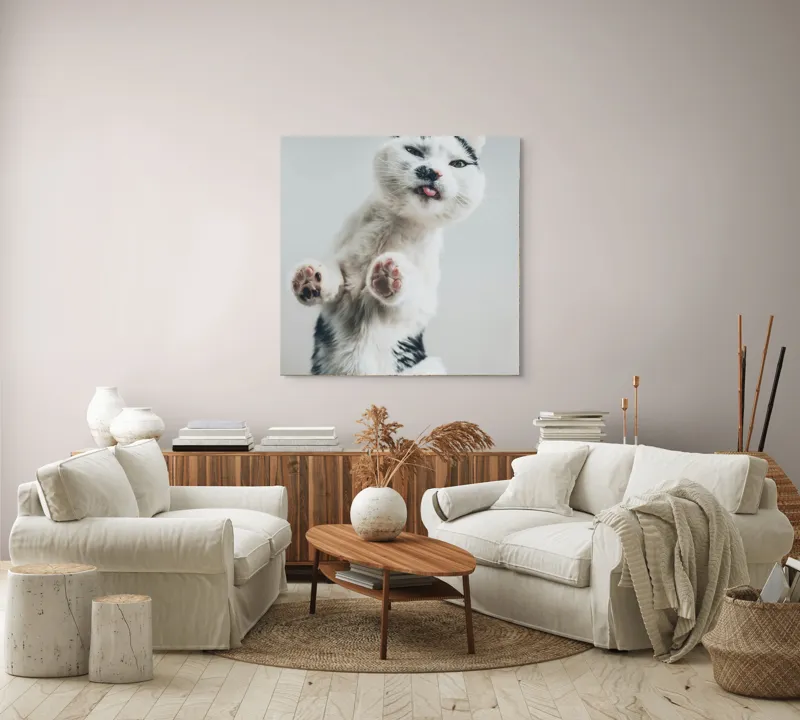 Tablou Canvas, "Pisică jucăușă în aer senin", Pisică, Blăniță, Lăbuțe, Expresie, Jucăușă, Fundal, Deschis, Amuzantă., 100 x 100 cm – poza 3