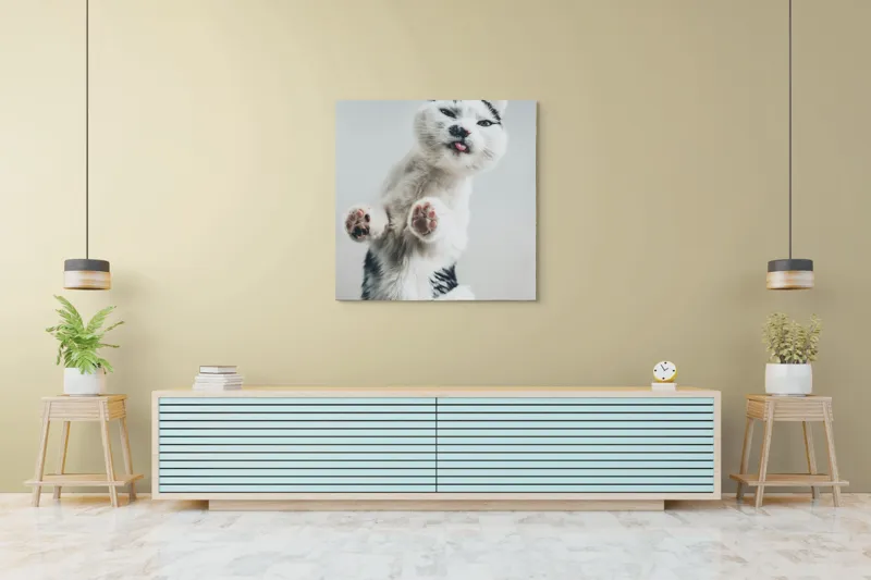 Tablou Canvas, "Pisică jucăușă în aer senin", Pisică, Blăniță, Lăbuțe, Expresie, Jucăușă, Fundal, Deschis, Amuzantă., 100 x 100 cm – poza 5