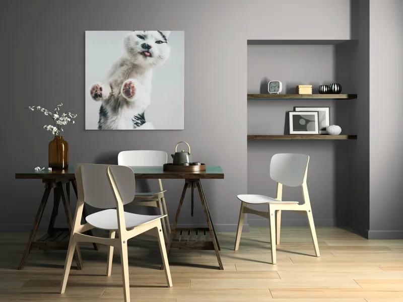 Tablou Canvas, "Pisică jucăușă în aer senin", Pisică, Blăniță, Lăbuțe, Expresie, Jucăușă, Fundal, Deschis, Amuzantă., 100 x 100 cm – poza 6